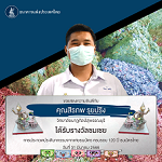 ภาพการรับรางวัล