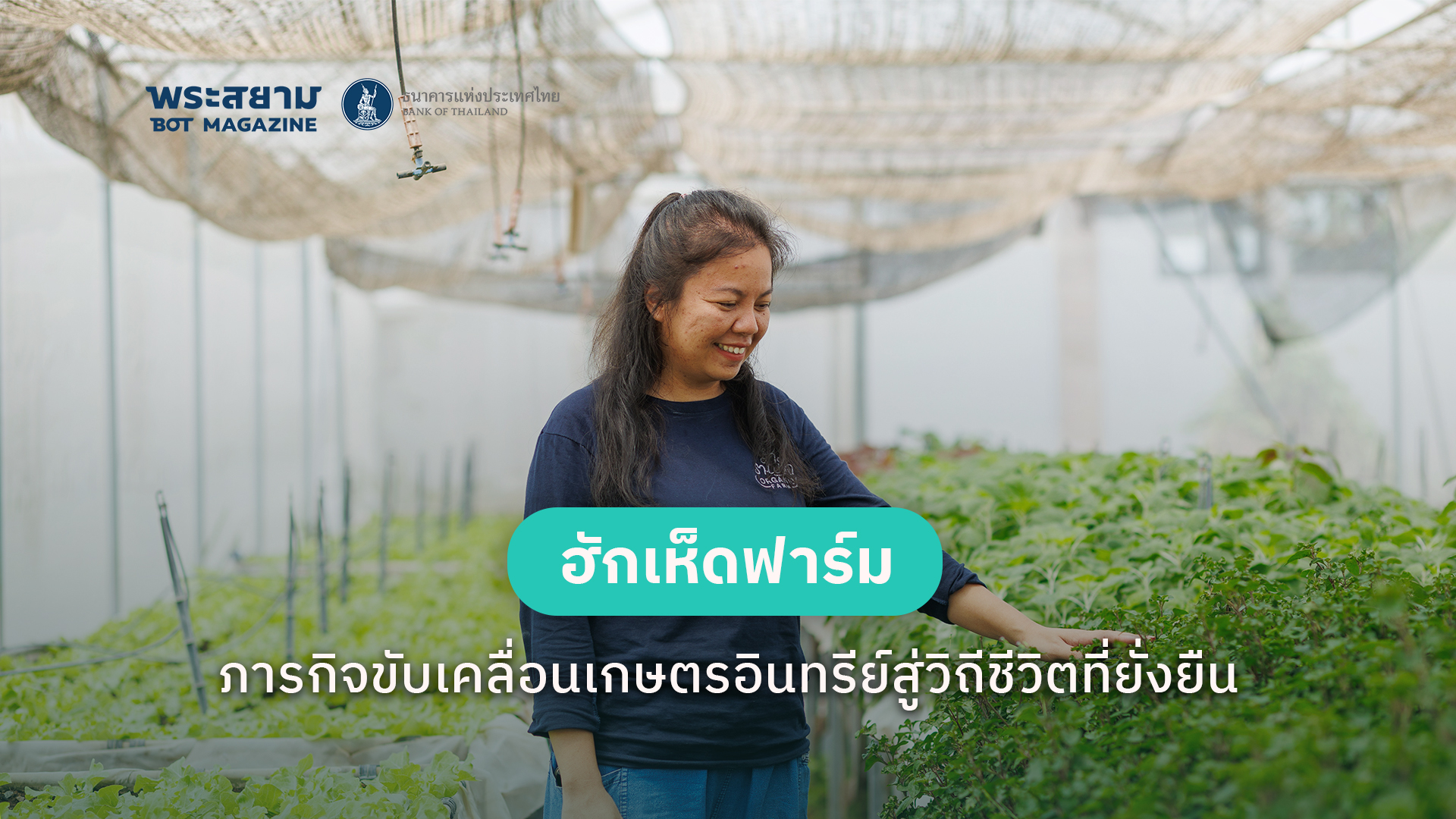 ฮักเห็ดฟาร์ม