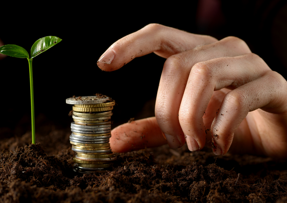 Coin tree