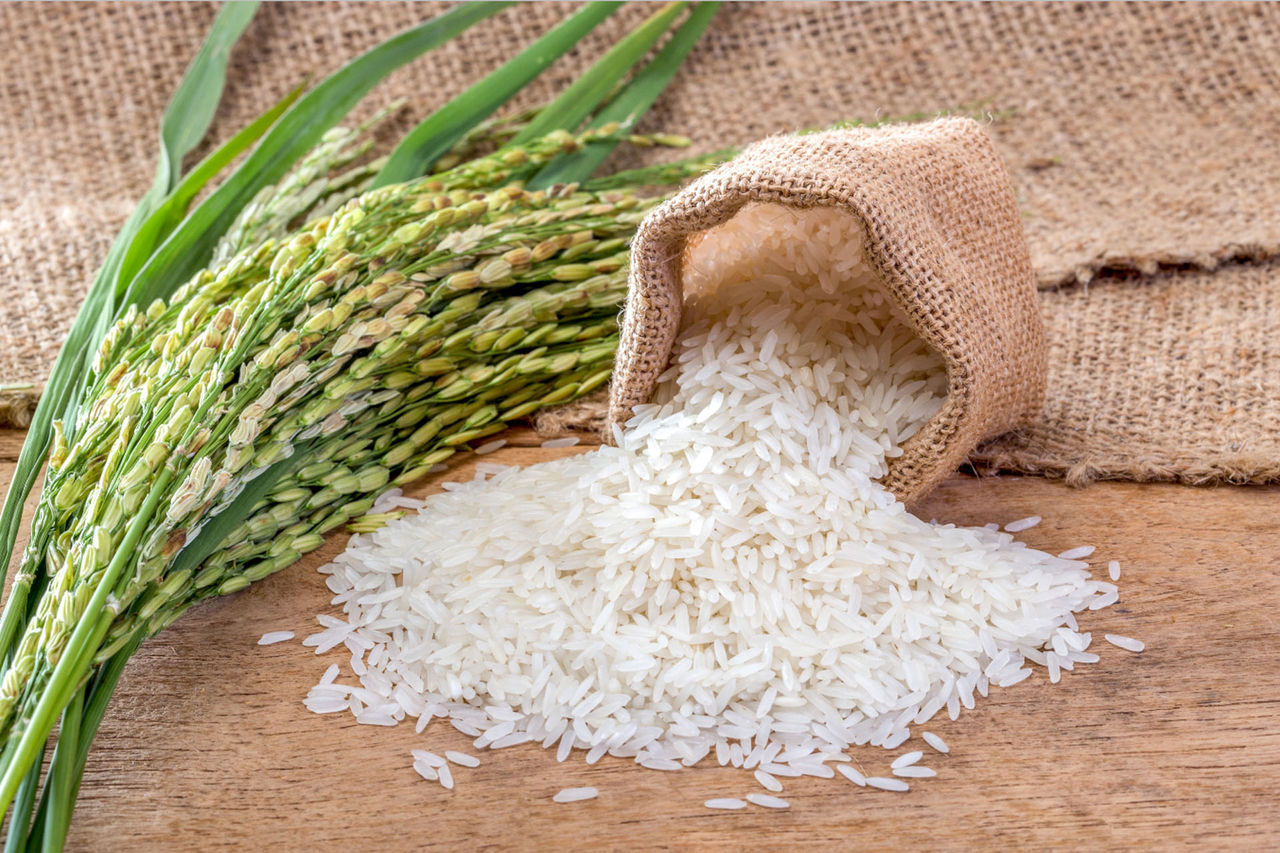 rice
